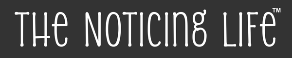 The Noticing Life™