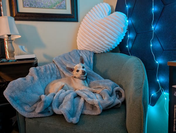 Agency Without Control